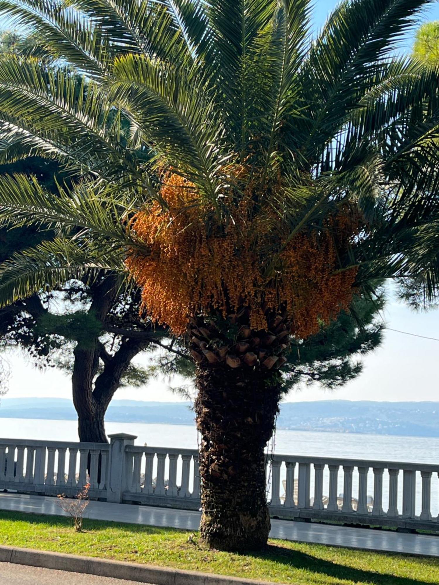 Crikvenica Right On The Beach Exterior foto